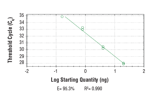 Chromatin Immunoprecipitation Image 2: SimpleChIP<sup>®</sup> Mouse Sox2 Exon1 Primers