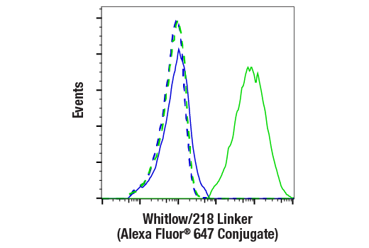 免疫etc... Anti-CD27 IgG1 antibody | Varlilumab biosimilar isotypes