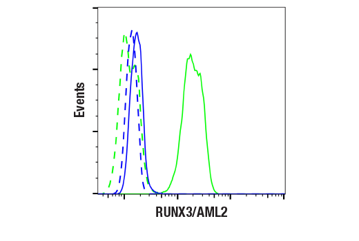 Flow Cytometry Image 1: RUNX3/AML2 (D6E2) Rabbit Monoclonal Antibody