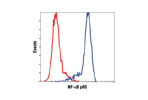 undefined Image 35: NF-κB Pathway Antibody Sampler Kit