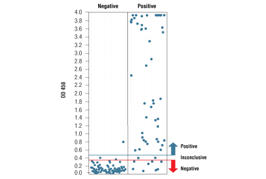ELISA Image 4: SARS-CoV-2 Spike Protein Serological IgA ELISA Kit