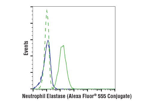 Flow Cytometry Image 1: Neutrophil Elastase (E9C9L) Rabbit Monoclonal Antibody (Alexa Fluor<sup>®</sup> 555 Conjugate)