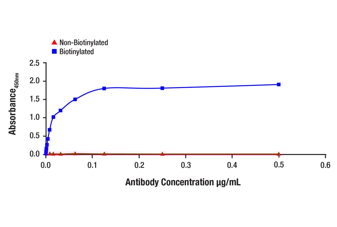 ELISA and/or ELISA-like Assays Image 1: p21 Waf1/Cip1 (12D1) Rabbit Monoclonal Antibody (Biotinylated)