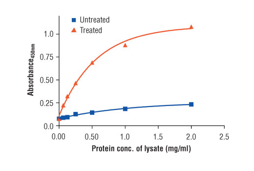 ELISA Image 2: PathScan<sup>®</sup> Phospho-FGF Receptor 4 (panTyr) Sandwich ELISA Kit