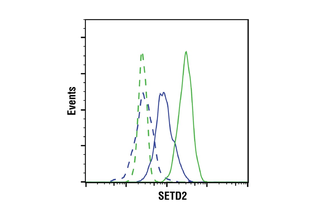 Flow Cytometry Image 1: SETD2 (E4W8Q) Rabbit Monoclonal Antibody (IHC Formulated)