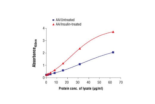 ELISA Image 2: PathScan<sup>®</sup> Phospho-4E-BP1 (Thr37/Thr46) Sandwich ELISA Kit