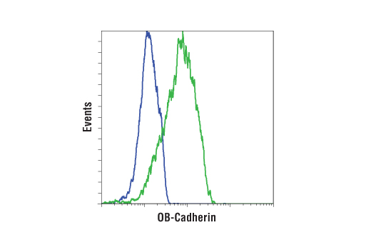 Flow Cytometry Image 1: OB-Cadherin (16G5) Mouse Monoclonal Antibody