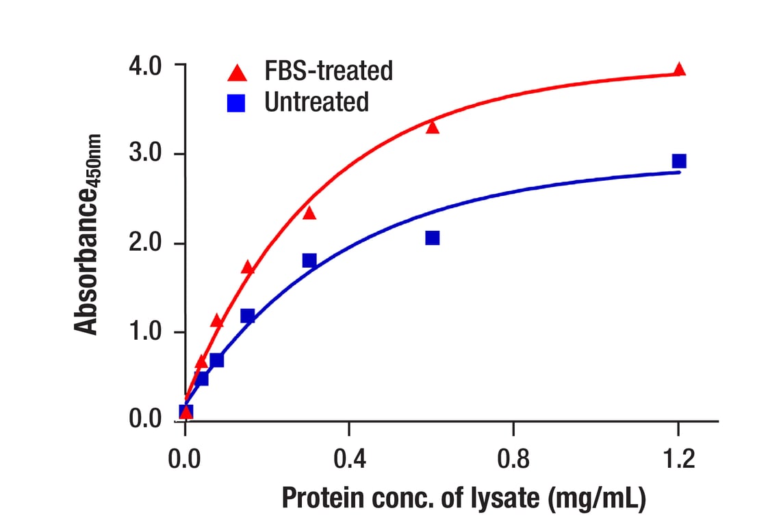 ELISA and/or ELISA-like Assays Image 2: Phospho-S6 Ribosomal Protein (Ser240/244) (D68F8) Rabbit Monoclonal Antibody (BSA and Azide Free)