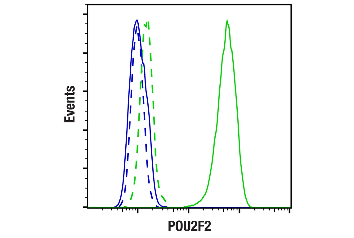 Flow Cytometry Image 1: POU2F2 (F3B7M) Rabbit Monoclonal Antibody (BSA and Azide Free)