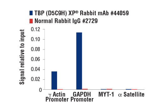 Chromatin Immunoprecipitation Image 3: TBP (D5C9H) Rabbit Monoclonal Antibody