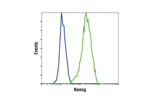 undefined Image 9: StemLight<sup>™</sup> Pluripotency Transcription Factor IF Antibody Sampler Kit