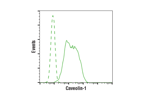 Flow Cytometry Image 1: Caveolin-1 (D46G3) Rabbit Monoclonal Antibody