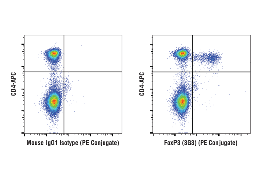 Flow Cytometry Image 1: FoxP3/Transcription Factor Fixation/Permeabilization Kit