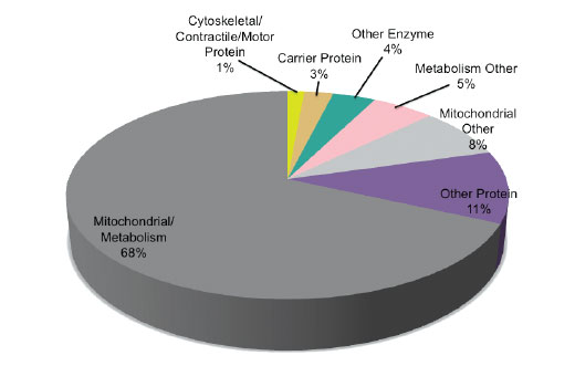 PTMScan Image 2: PTMScan<sup>®</sup> Succinyl-Lysine Motif [Succ-K] Kit