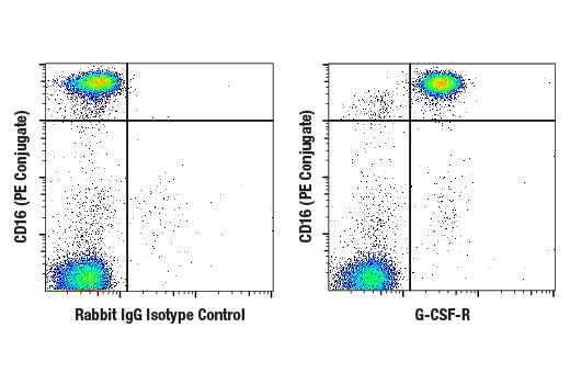 Flow Cytometry Image 1: G-CSF-R (E8E7D) Rabbit Monoclonal Antibody