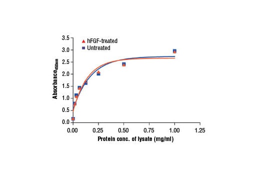 ELISA Image 2: PathScan<sup>®</sup> Total FGF Receptor 1 Sandwich ELISA Kit