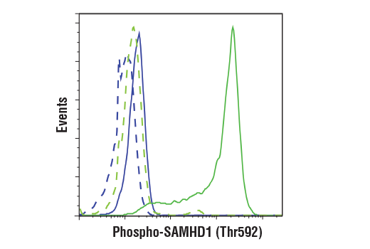 undefined Image 33: Host Cell Viral Restriction Factor Antibody Sampler Kit