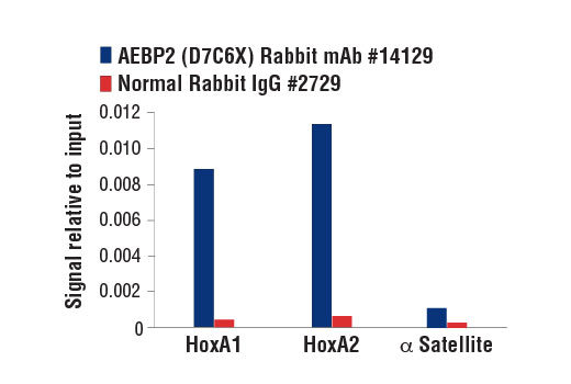 undefined Image 33: Polycomb Group 2 (PRC2) Antibody Sampler Kit