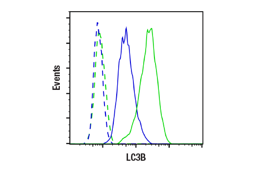 Flow Cytometry Image 2: LC3B (E5Q2K) Mouse Monoclonal Antibody (BSA and Azide Free)