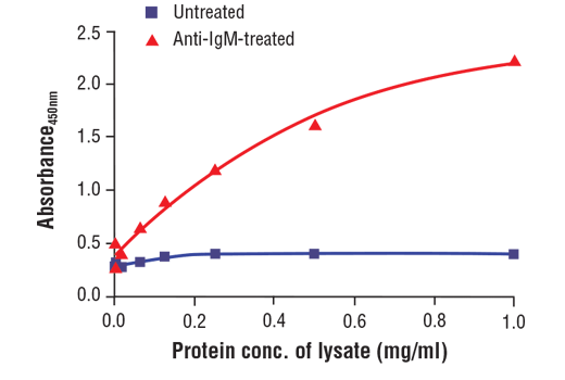 ELISA Image 2: PathScan<sup>®</sup> Phospho-Btk (Tyr223) Sandwich ELISA kit