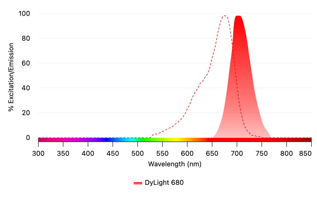 DyLight 680 Excitation Spectrum