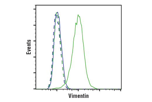 Flow Cytometry Image 1: Vimentin (D21H3) Rabbit Monoclonal Antibody (BSA and Azide Free)