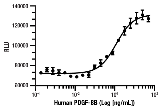 undefined Image 1: Human PDGF-BB Recombinant Protein