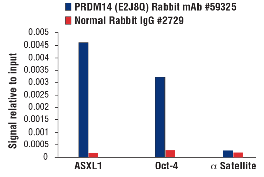 Chromatin Immunoprecipitation Image 2: PRDM14 (E2J8Q) Rabbit Monoclonal Antibody