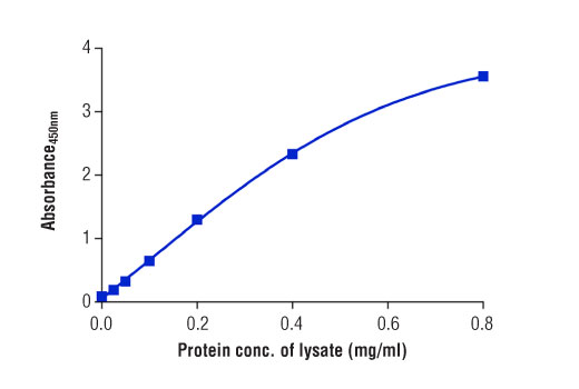 ELISA Image 2: PathScan<sup>®</sup> Total CD31 (PECAM-1) Sandwich ELISA Kit