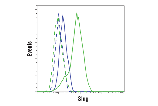 Flow Cytometry Image 1: Slug (C19G7) Rabbit Monoclonal Antibody (BSA and Azide Free)