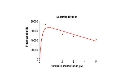 undefined Image 4: HTScan<sup>®</sup> FGF Receptor 3 Kinase Assay Kit