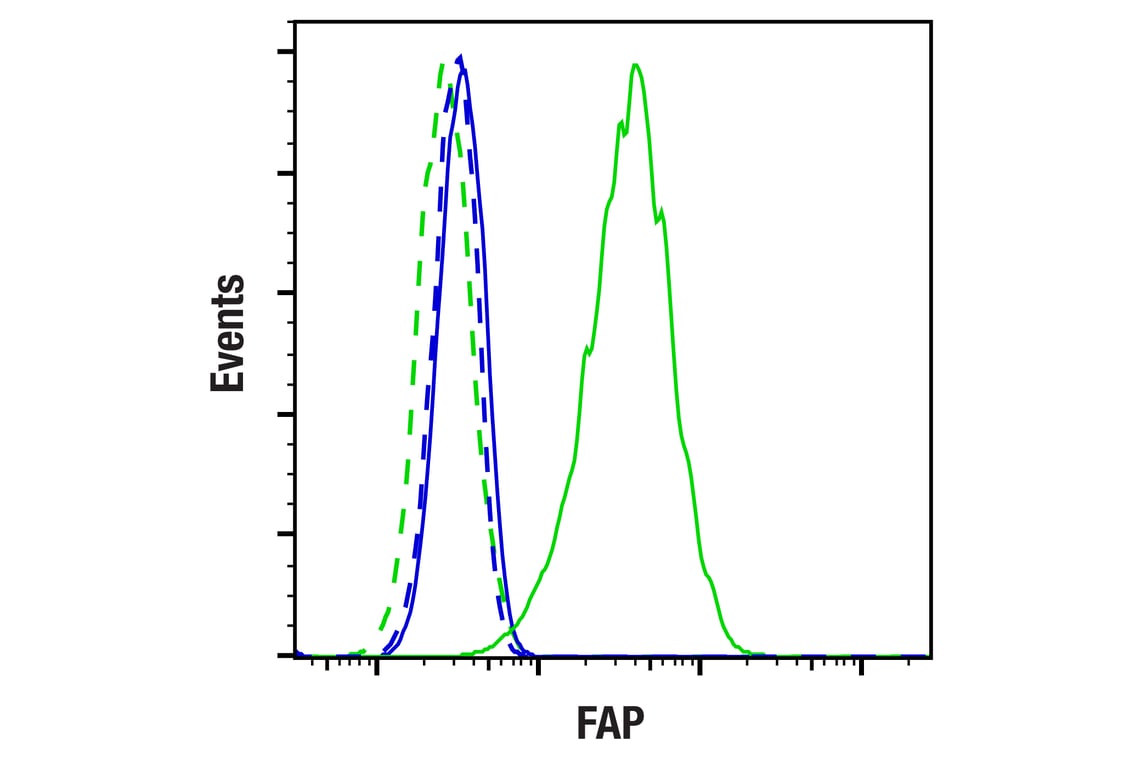 Flow Cytometry Image 1: FAP (F1A4G) Rabbit Monoclonal Antibody