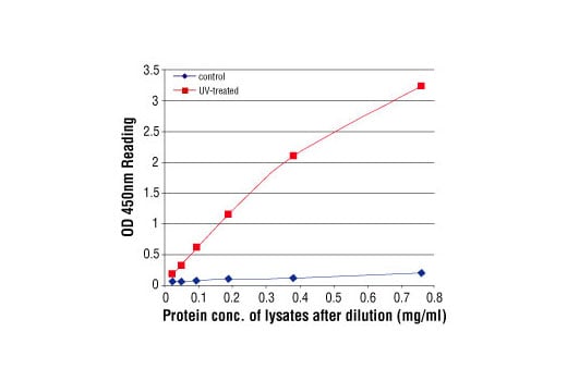 ELISA Image 2: PathScan<sup>®</sup> Phospho-SAPK/JNK (Thr183/Tyr185) Sandwich ELISA Kit