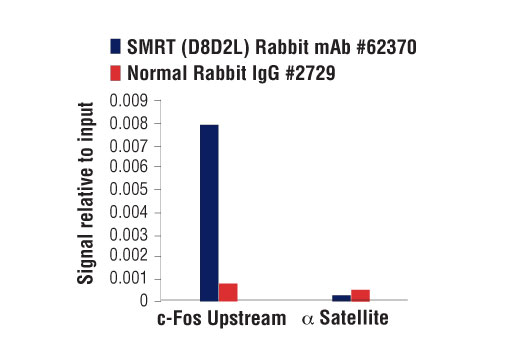 Chromatin Immunoprecipitation Image 1: SMRT (D8D2L) Rabbit Monoclonal Antibody