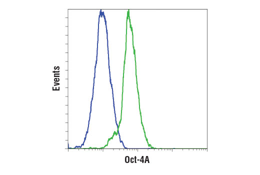 Flow Cytometry Image 1: Oct-4A (D6C8T) Rabbit Monoclonal Antibody