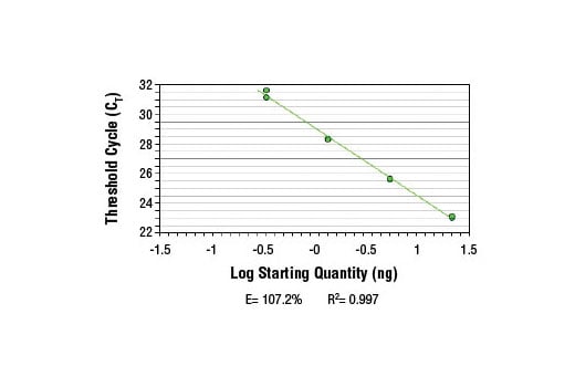 Chromatin Immunoprecipitation Image 2: SimpleChIP<sup>®</sup> Human StAR Intron 1 Primers