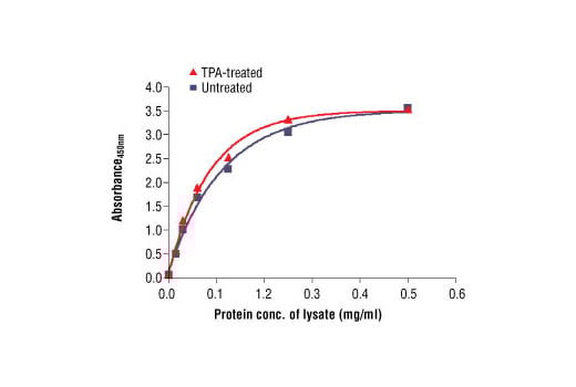 ELISA Image 2: PathScan<sup>®</sup> Total Bad Sandwich ELISA Kit