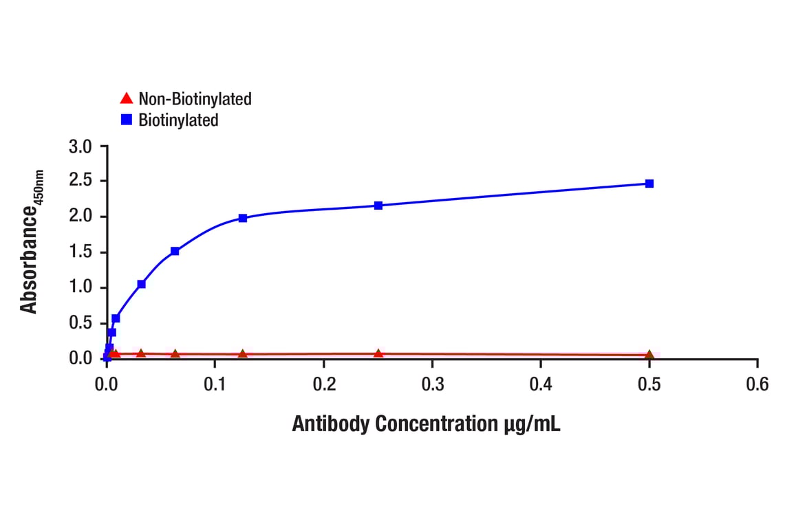 ELISA and/or ELISA-like Assays Image 1: Phospho-STING (Ser366) (E9A9K) Rabbit Monoclonal Antibody (Biotinylated)