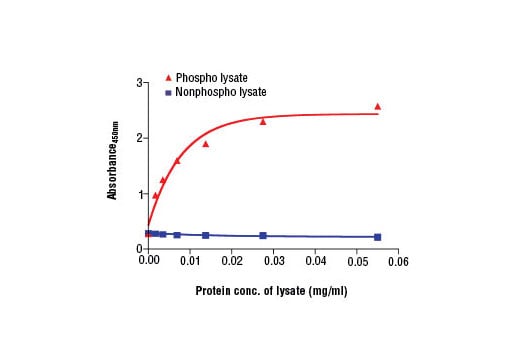 ELISA Image 2: PathScan<sup>®</sup> Phospho-FGFR2 (panTyr) Sandwich ELISA Kit