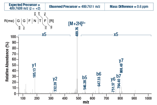 undefined Image 3: PTMScan<sup>®</sup> Control Peptides Mono-Methyl Arginine