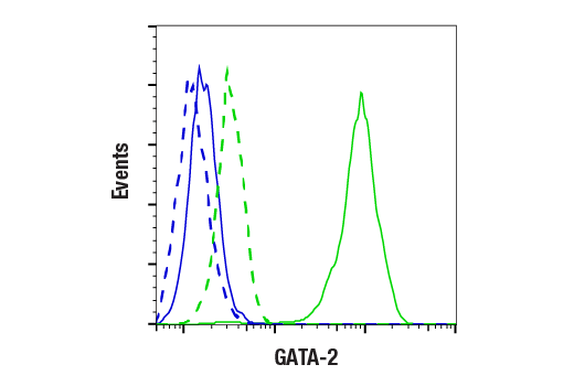 Flow Cytometry Image 1: GATA-2 (E9T6F) Rabbit Monoclonal Antibody