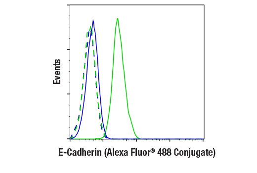 Flow Cytometry Image 1: E-Cadherin (4A2) Mouse Monoclonal Antibody (Alexa Fluor<sup>®</sup> 488 Conjugate)