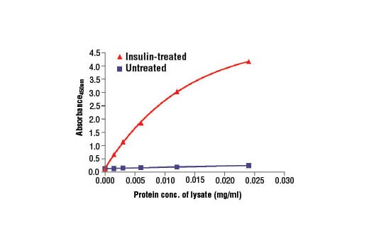 ELISA Image 2: PathScan<sup>®</sup> Phospho-Insulin Receptor beta (panTyr) Sandwich ELISA Kit