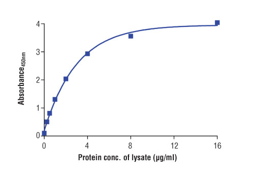 ELISA Image 2: PathScan<sup>®</sup> Total EpCAM Sandwich ELISA Kit