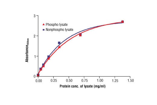 ELISA Image 2: PathScan<sup>®</sup> Total ROS1 Sandwich ELISA Kit