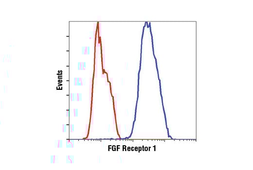 Flow Cytometry Image 1: FGF Receptor 1 (D8E4) Rabbit Monoclonal Antibody (BSA and Azide Free)