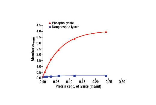 ELISA Image 2: PathScan<sup>®</sup> Phospho-c-Abl (panTyr) Sandwich ELISA Kit