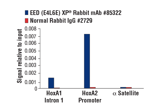 Chromatin Immunoprecipitation Image 3: EED (E4L6E) Rabbit Monoclonal Antibody