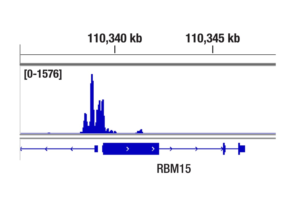 Nitrification Inhibitor for BOD, Formula 2533™, TCMP, 35 g