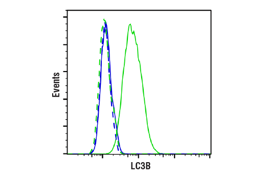 undefined Image 32: Mitophagy Antibody Sampler Kit